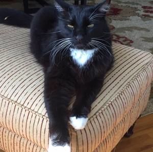 Meet your Posher, Leeza